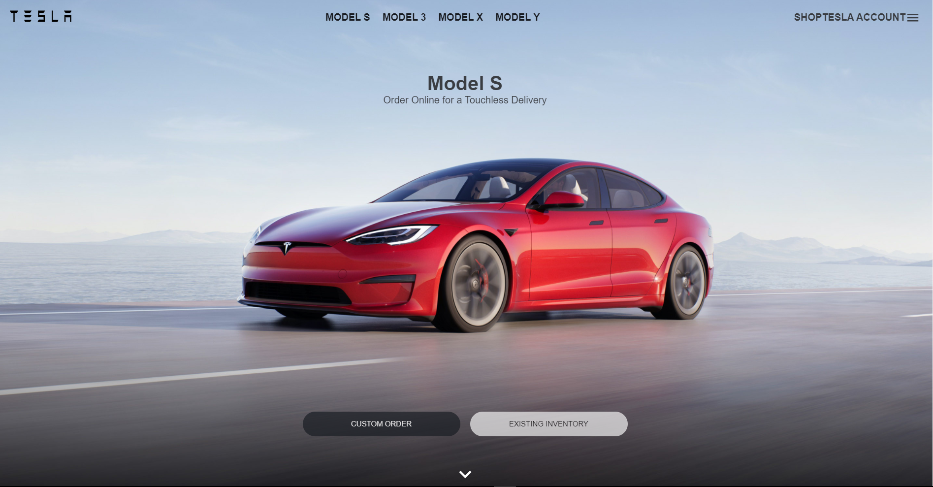 Tesla Clone project preview
